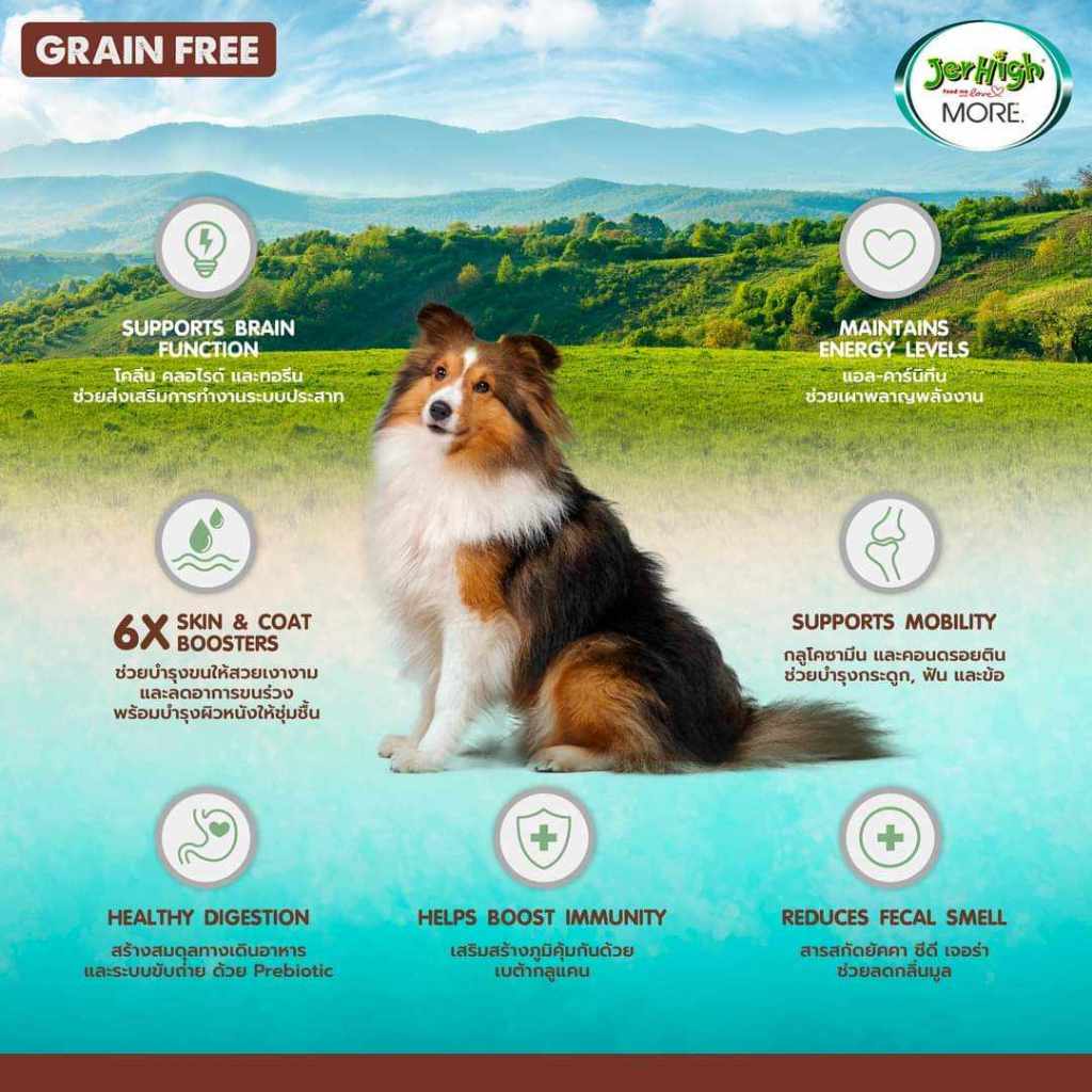 CatHoliday อาหารสุนัขเม็ดกรอบ Jerhigh more สูตร Grain Free อาหารสุนัข
