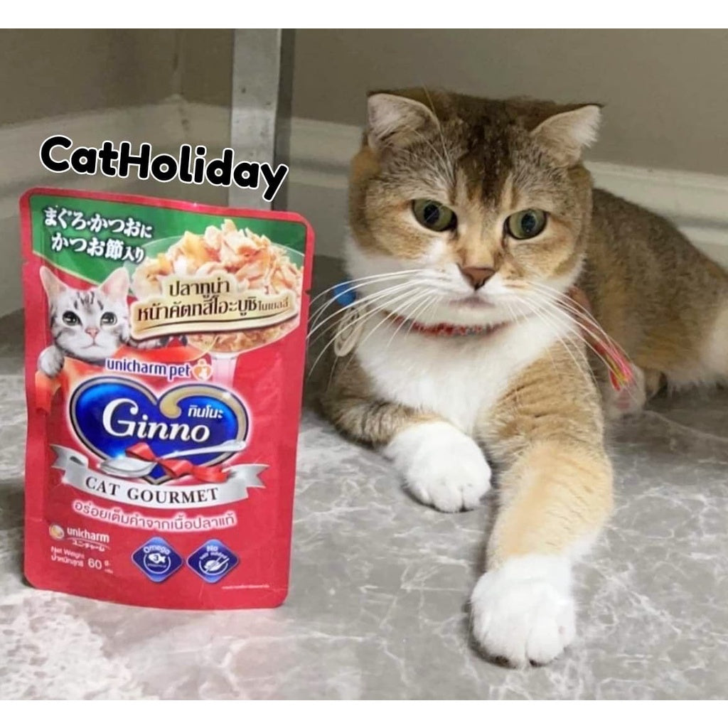 CatHoliday กินโนะ แคท กูร์เมต์ Ginno Cat Gourmet อาหารซองแมว อาหารแมวเปียก อาหารแมว เพ๊าซ์แมว ยกลัง 48 ซอง