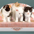 CatHoliday โซฟาฝนเล็บ V3 ลับเล็บแมว ที่นอนแมว โซฟาแมว ของเล่นแมว