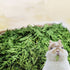 CatHoliday ใบแครอทอบแห้ง  สำหรับกระต่ายและสัตว์ฟันแทะ  ขนาด 30 กรัม