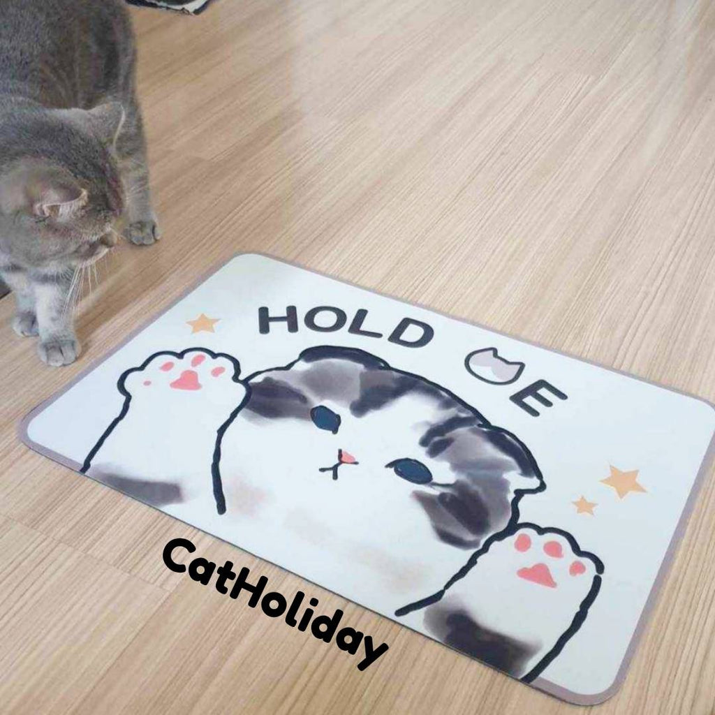 CatHoliday พรมแมวเหลี่ยม พรมกันลื่น พรมเช็ดเท้า