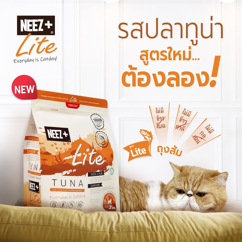 CatHoliday นีซพลัส ไลท์ NEEZ+ Lite อาหารสัตว์เลี้ยง อาหารแมว