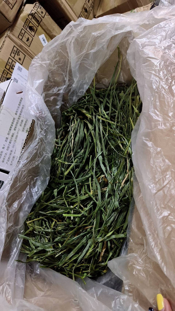 CatHoliday หญ้าวีทกราสกล่อง หญ้าอบแห้ง สำหรับ กระต่าย หนูแกสบี้ สัตว์ฟันแทะ Wheat grass