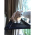 Sunny seat สีดำขนาดใหญ่ ที่นอนแมว ที่นอนสุนัข ทีนอนติดกระจก เตียงแมวและสุนัข เปลแมวและสุนัข ของเล่น