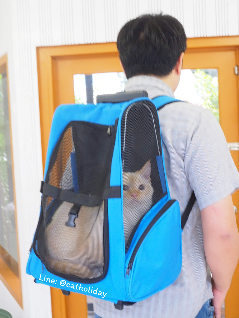 กระเป๋าล้อลาก กระเป๋าใสแมว