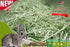 CatHoliday หญ้าแห้ง Randolph เกรดซุปเปอร์พรีเมี่ยม ขนาด 700 กรัม สำหรับกระต่าย และสัตว์ฟันแทะ