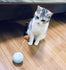 บอลลูนติดปอม ของเล่นแมว