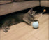 บอลลูนติดปอม ของเล่นแมว