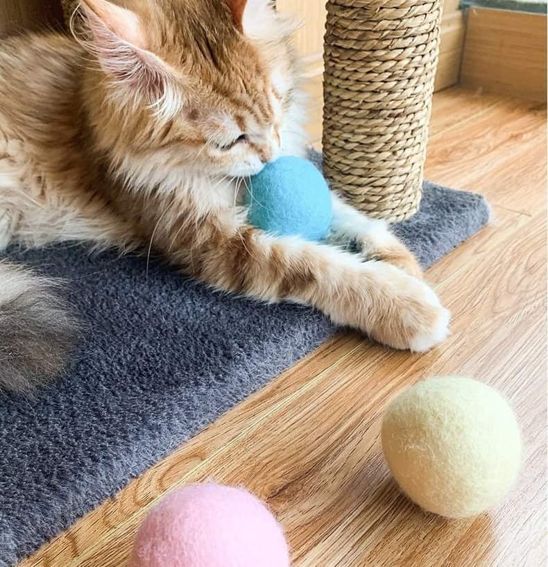 บอลเสียงสัตว์ บอลมีเสียง ของเล่นแมว