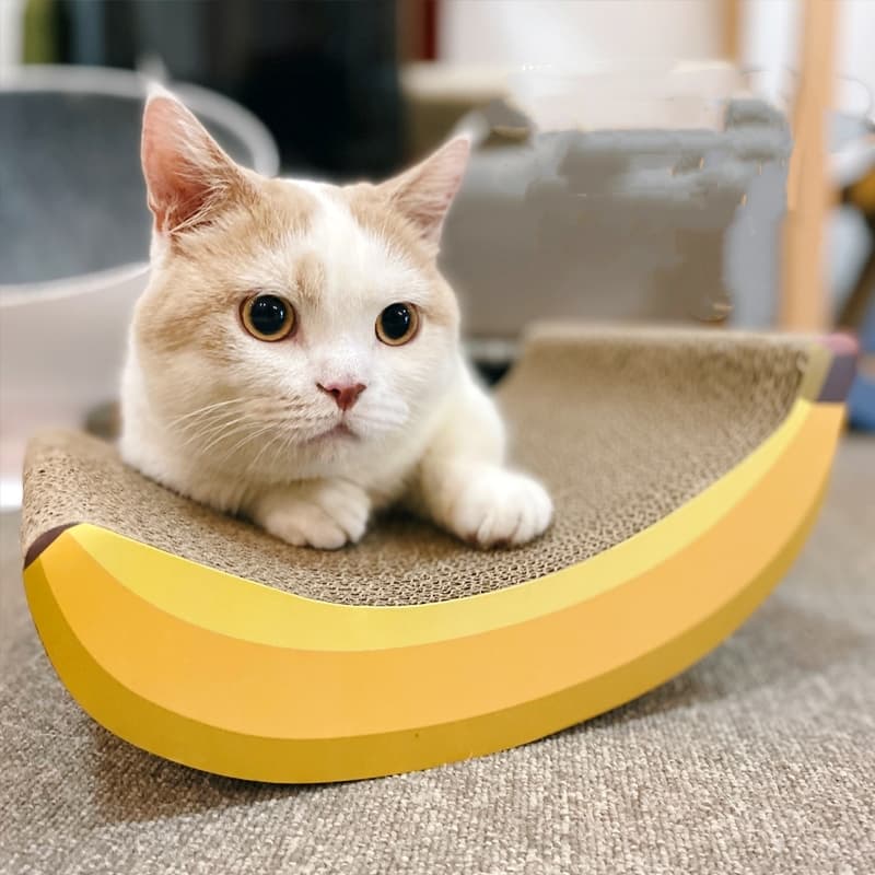ลับเล็บกล้วย ที่ลับเล็บแมว ของเล่นแมว