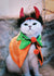 Halloween set 1 แต่งตัวแมว คาดหัวแมว ของเล่นแมว เสื้อผ้าแมว
