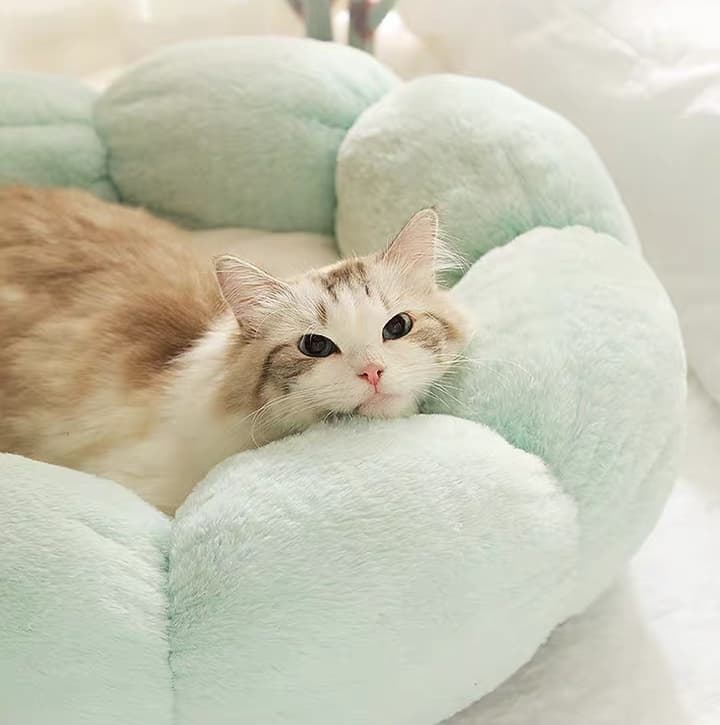 ที่นอนดอกไม้ ที่นอนแมว ที่นอนสัตว์เลี้ยง