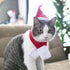 คริสมาสต์ Set 3 แต่งตัวแมว เสื้อคลุมแมว เสื้อคลุมสัตว์เลี้ยง เสื้อสัตว์เลี้ยง