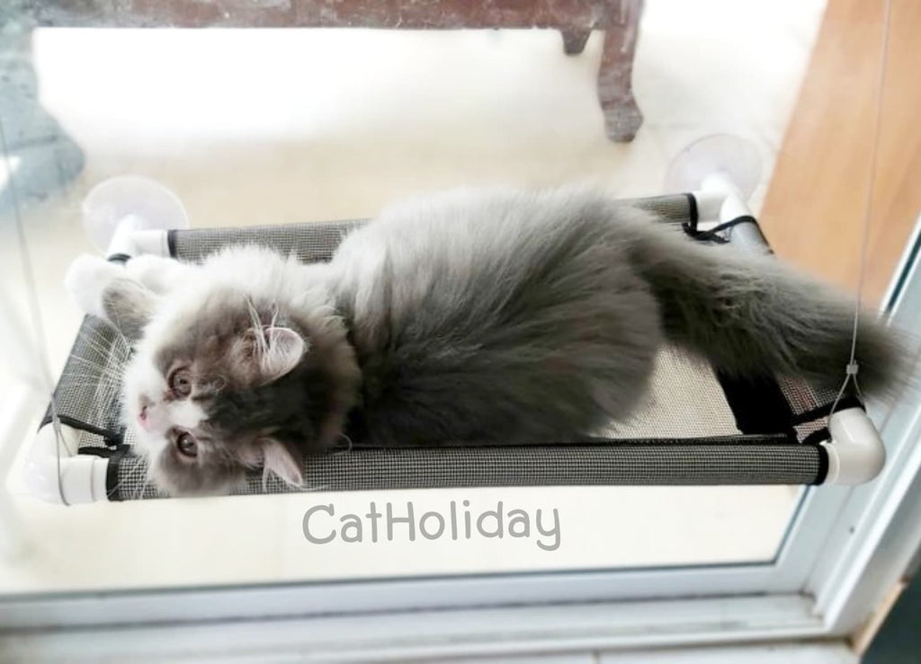 Sunny seat ผ้าตาข่าย ที่นอนแมวติดกระจก ที่นอนแมว
