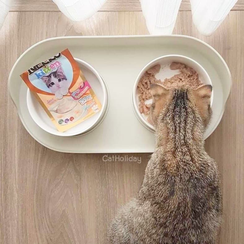 ชามถ้วยชาคู่พร้อมฐานกันหก ชามอาหารสัตว์เลี้ยง ชามอาหารแมว