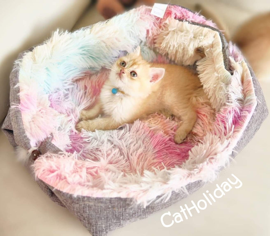 CatHoliday ที่นอนพรม ที่นอนแมว ที่นอนสัตว์เลี้ยง