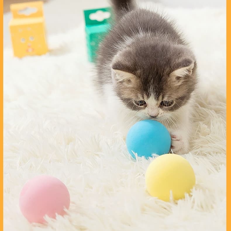บอลเสียงสัตว์ บอลมีเสียง ของเล่นแมว
