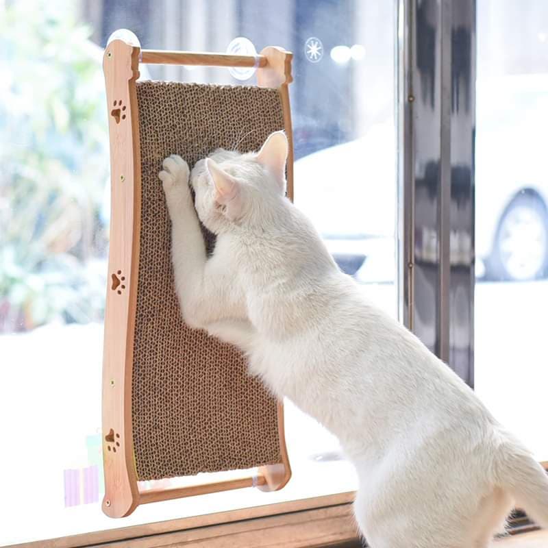 CatHoliday ลับเล็บติดกระจก ลับเล็บแมว ของเล่นแมว