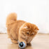 CatHoliday บอลหน้าแมวอัตโนมัติ ของเล่นแมว ของเล่นสัตว์เลี้ยง