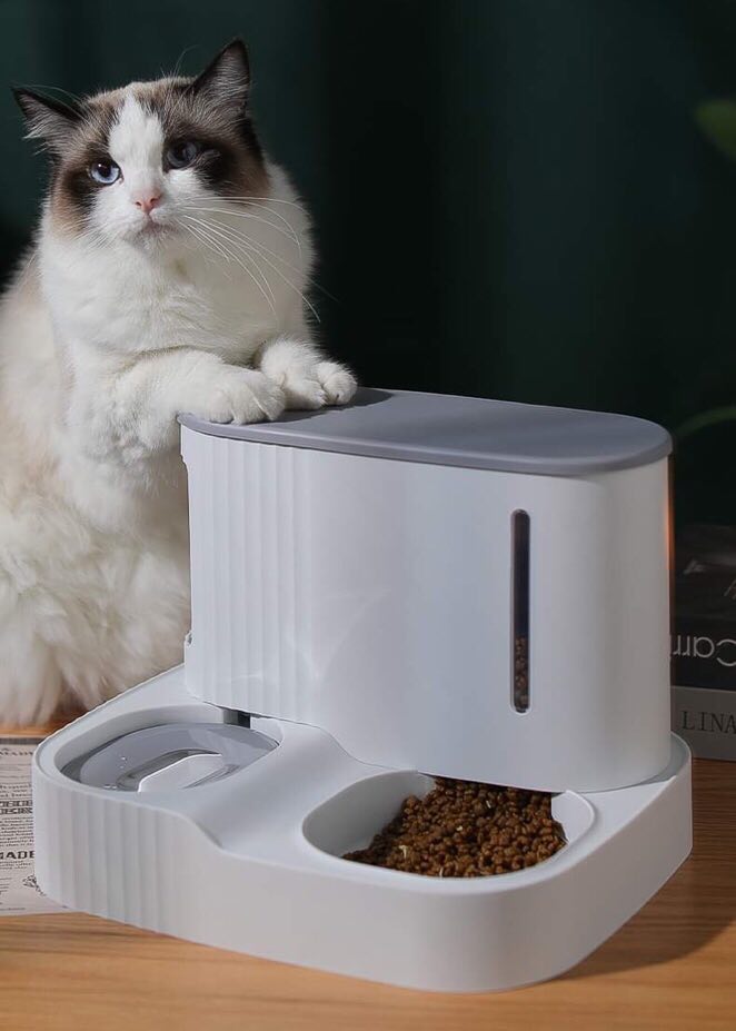 CatHoliday เครื่องให้น้ำอาหาร 2 in 1 เครื่องให้อาหารสัตว์เลี้ยง ชามอาหารแมว