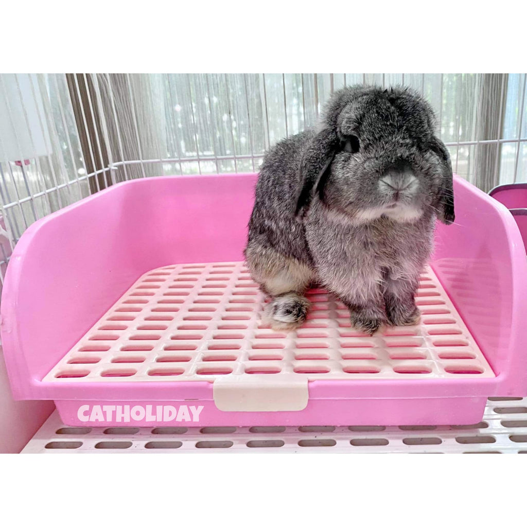 CatHoliday ห้องน้ำกระต่าย XL ห้องน้ำสัตว์เลี้ยง