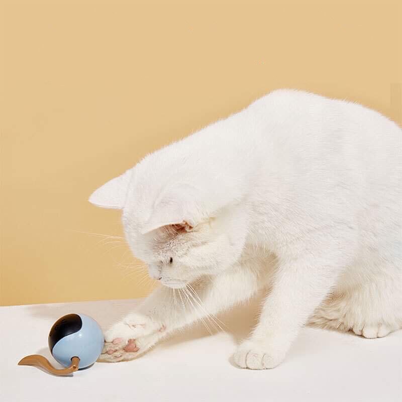 CatHoliday บอลหน้าแมวอัตโนมัติ ของเล่นแมว ของเล่นสัตว์เลี้ยง