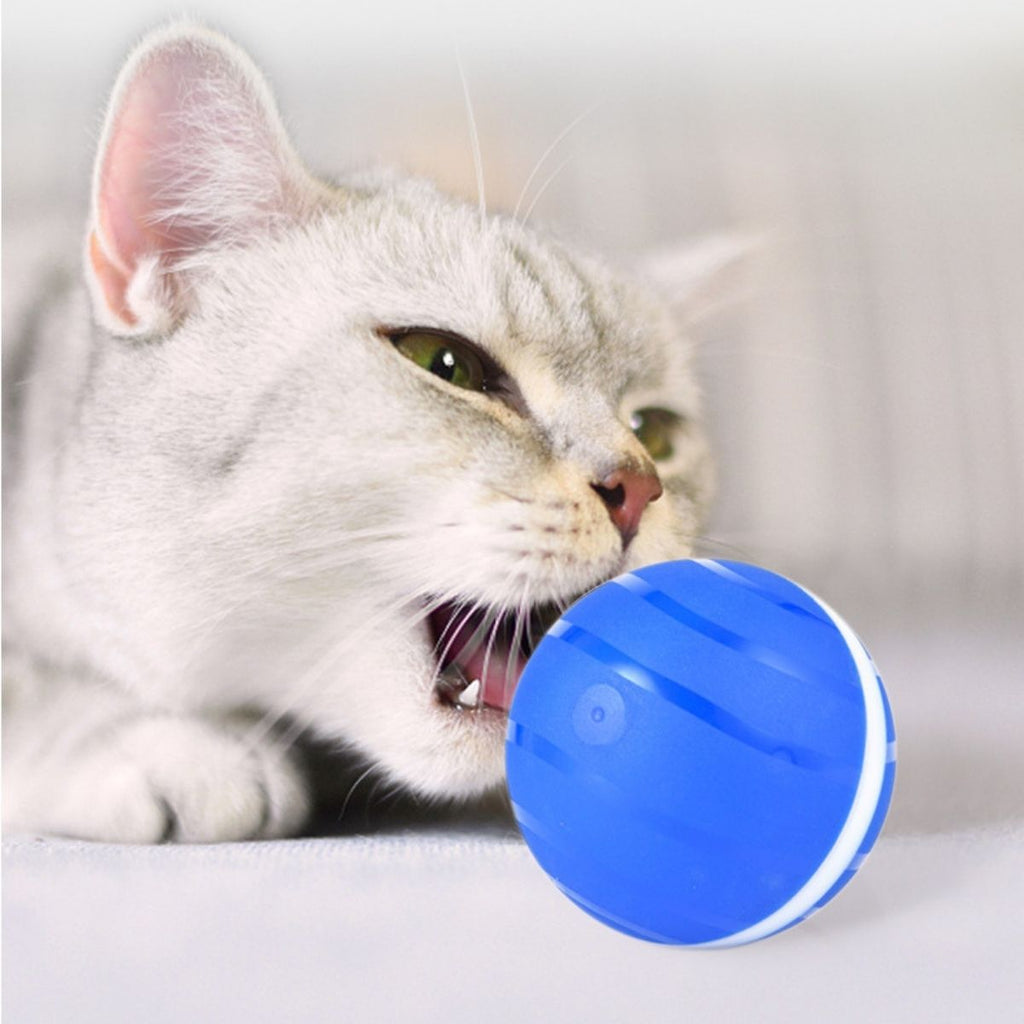CatHoliday บอลอัตโนมัติ ของเล่นแมว ของเล่นแมวอัตโนมัติ