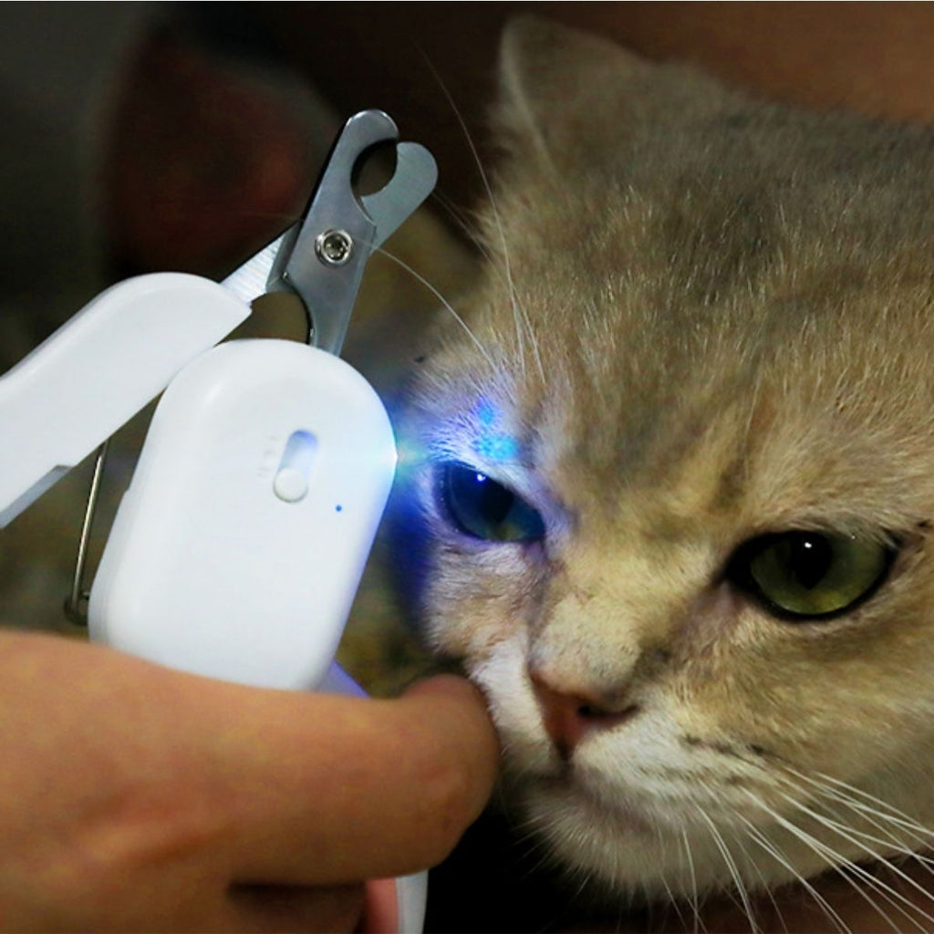 CatHoliday กรรไกรตัดเล็บมีไฟ ชาร์ต USB กรรไกรตัดเล็บสัตว์ กรรไกรตัดเล็บแมว กรรไกรตัดเล็บกระต่าย