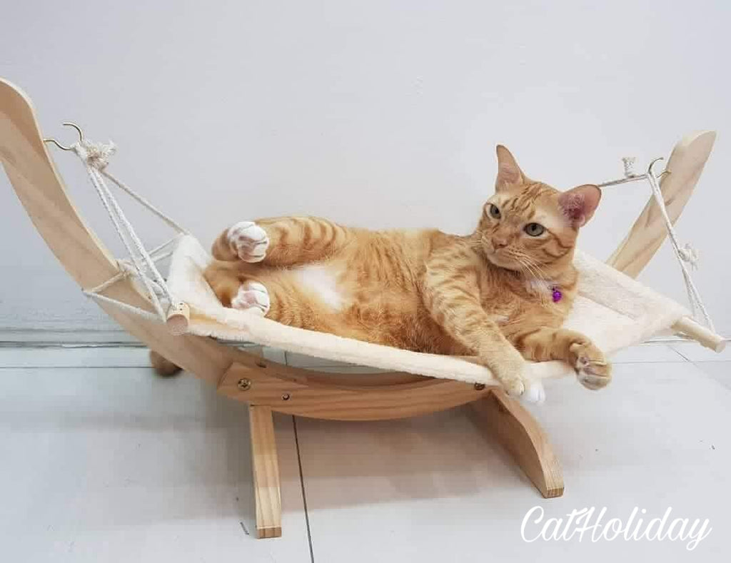 CatHoliday เปลแมวโครงไม้ เปลแมว ที่นอนแมว