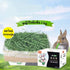 CatHoliday หญ้าไรย์แห้ง 1 กิโลกรัม หญ้ากระต่าย หญ้าไรซ์ หญ้าสำหรับสัตว์ฟันแทะ