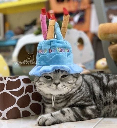 หมวก happy birthday สีฟ้า หมวกสุนัขและแมว เครื่องแต่งกายสุนัขและแมว เสื้อผ้าแมว เสื้อผ้าสุนัข