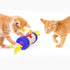 CatHoliday ขนนกติดล้อ V2 ของเล่นแมว ของเล่นสัตว์เลี้ยง