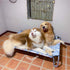 CatHoliday เตียงเหลี่ยมขาเหล็ก V3 ที่นอนสุนัข ที่นอนสัตว์เลี้ยง