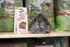 CatHoliday บันนี่ แครกเกอร์ 50 กรัม Bunny Nature Crunchy Cracker อาหารเสริมของสัตว์ฟันแทะ ขนมกระต่าย