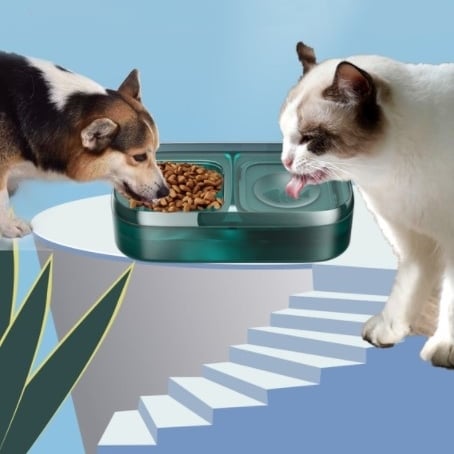 CatHoliday ที่ให้น้ำอาหาร แบบมีไส้กรอง ชามอาหารแมว ชามอาหารสุนัข ชามอาหารสัตว์เลี้ยง ชามน้ำสัตว์เลี้ยง