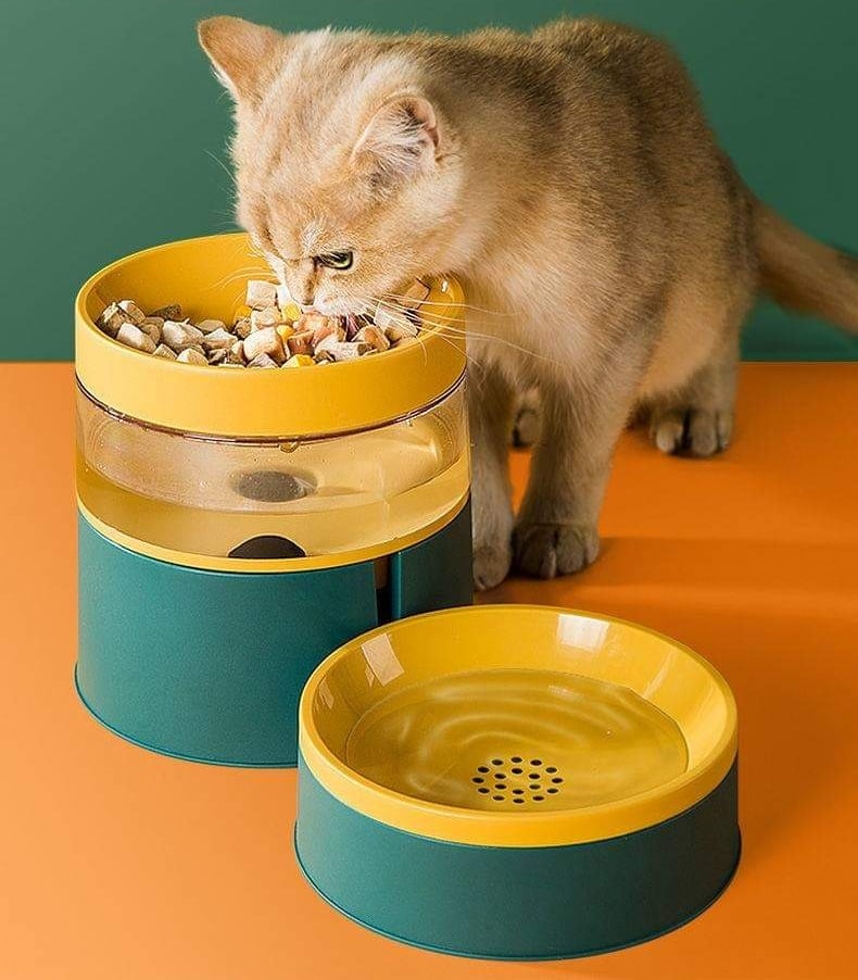 CatHoliday ชุดเครื่องให้น้ำพร้อมชามอาหารสลับสี ชามอาหารแมว ชามอาหารสัตว์เลี้ยง