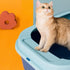 CatHoliday ห้องน้ำถาดขอบสูงมงกุฎ ห้องน้ำแมว กระบะทรายแมว