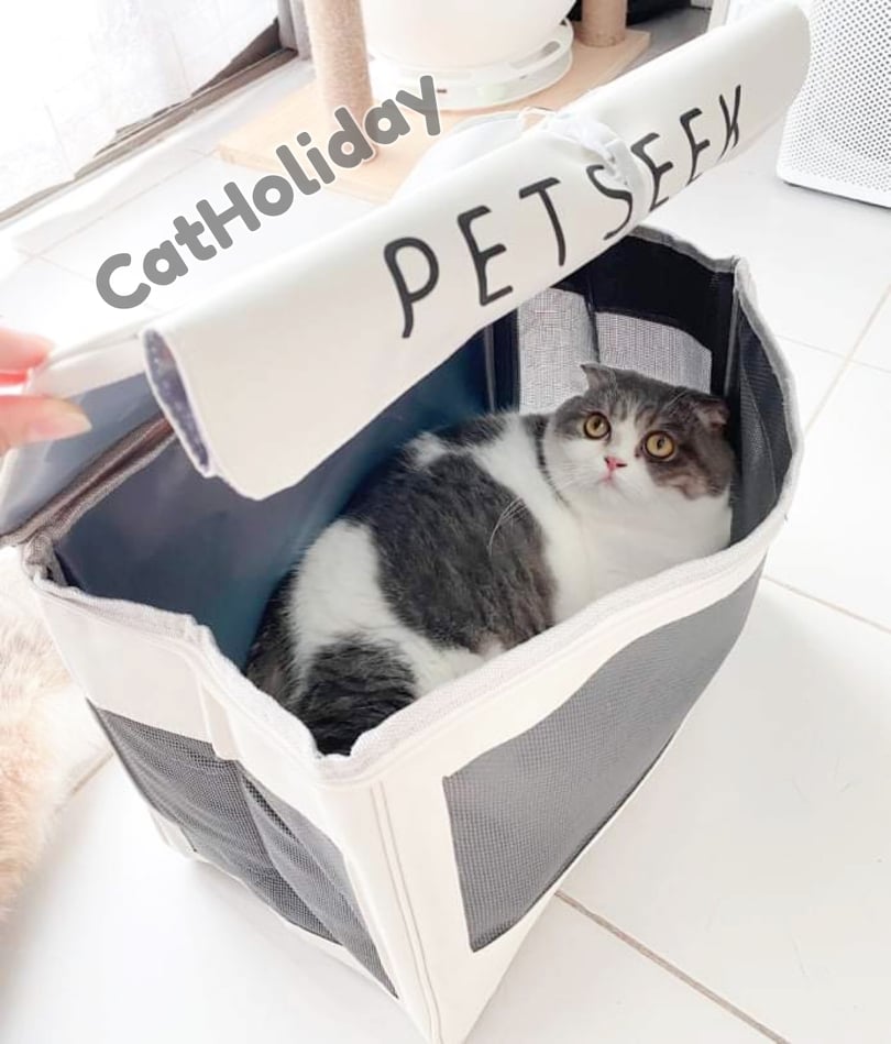 CatHoliday กระเป๋าสะพายข้าง petseek XL กระเป๋าแมว กระเป๋าสัตว์เลี้ยง