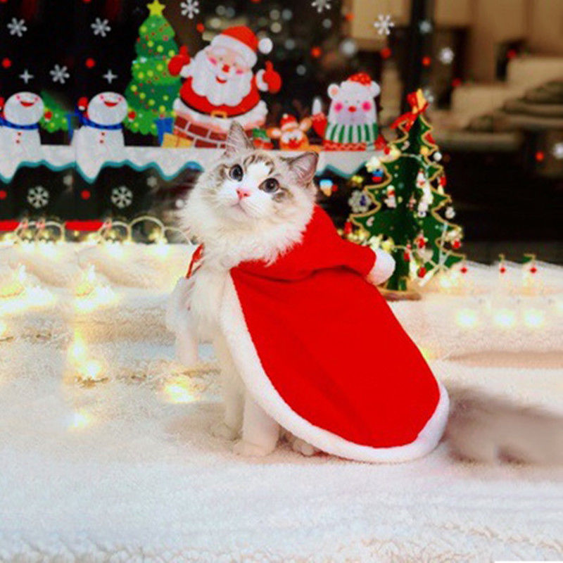 CatHoliday ชุดแต่งกายคริสมาสต์ Set 3 เสื้อคลุมแมว เสื้อคลุมสัตว์เลี้ยง เสื้อสัตว์เลี้ยง