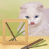 CatHoliday หญ้าแมวอัดแท่ง ของเล่นแมว แคทนิปแบบแท่ง