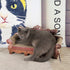CatHoliday โซฟาลับเล็บ V2 ลับเล็บแมว ของเล่นแมว ที่นอนแมว