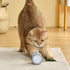 CatHoliday ขนนกติดล้อพร้อมไฟรุ้ง ชาร์จ USB ของเล่นแมว ของเล่นแมวอัตโนมัติ
