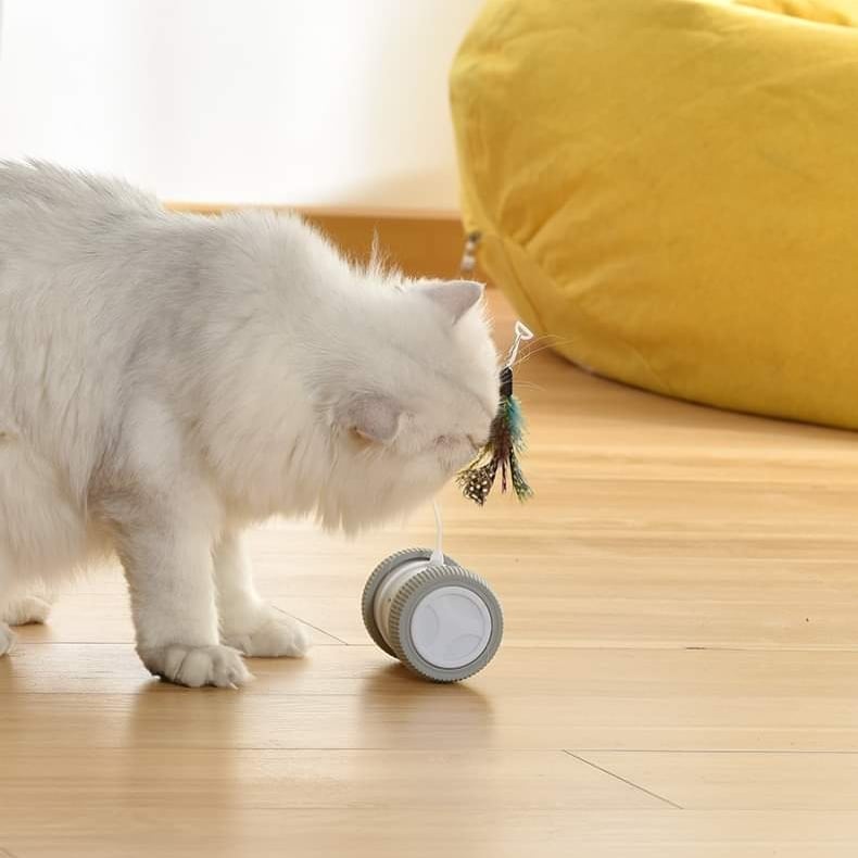 CatHoliday ขนนกติดล้อพร้อมไฟรุ้ง ชาร์จ USB ของเล่นแมว ของเล่นแมวอัตโนมัติ