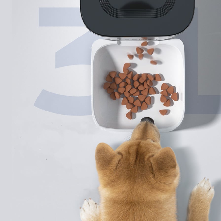 CatHoliday เครื่องให้อาหารตั้งเวลาต่อ app บันทึกเสียงได้ เครื่องให้อาหารแมว เครื่องให้อาหารสัตว์เลี้ยง