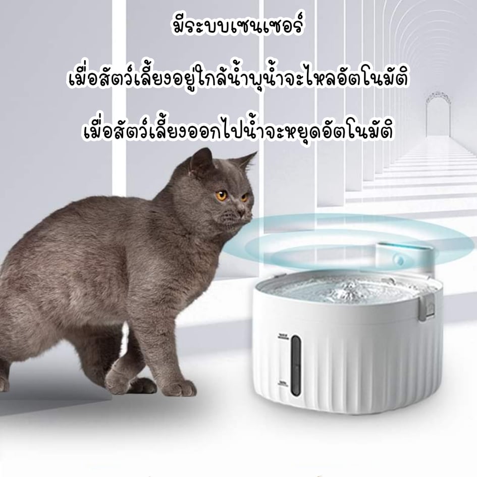 CatHoliday น้ำพุ meoof มีเซนเซอร์ ระบบตัดไฟอัตโนมัติ ชาร์ต USB ใส่ถ่านได้ น้ำพุแมว น้ำพุสัตว์เลี้ยง