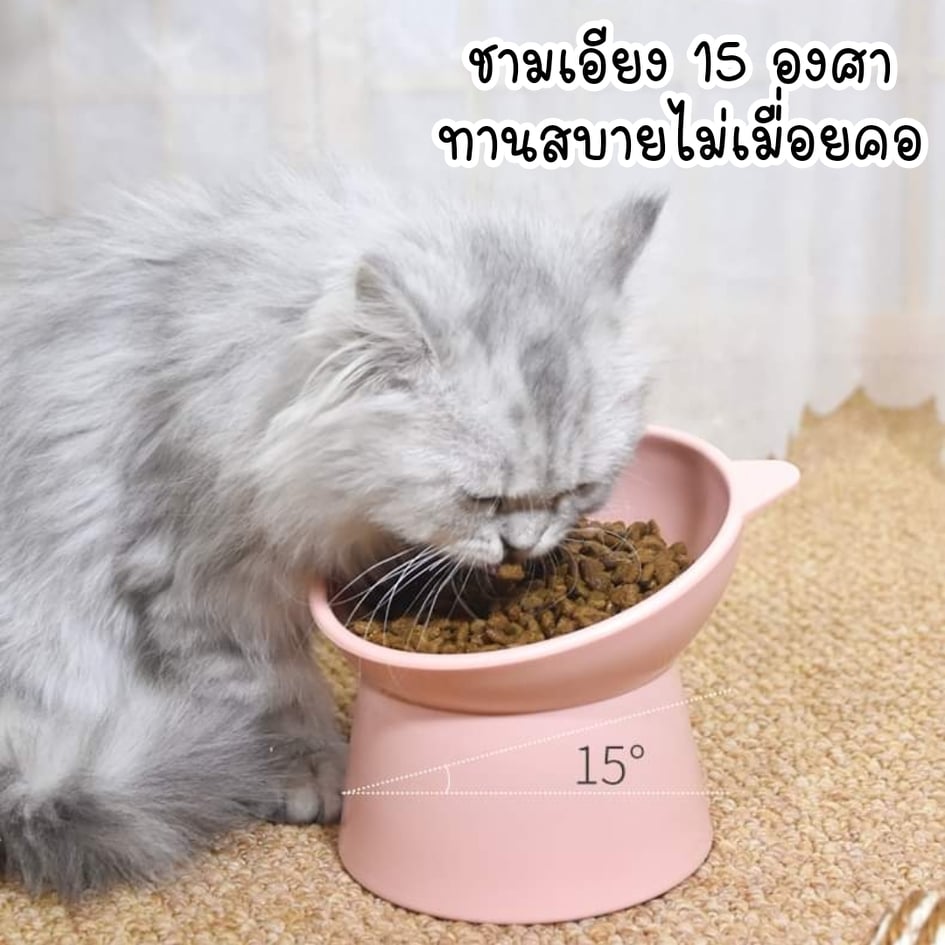 CatHoliday ชามหน้าแมวเดี่ยวยกสูง ชามอาหารแมว ชามอาหารสัตว์เลี้ยง