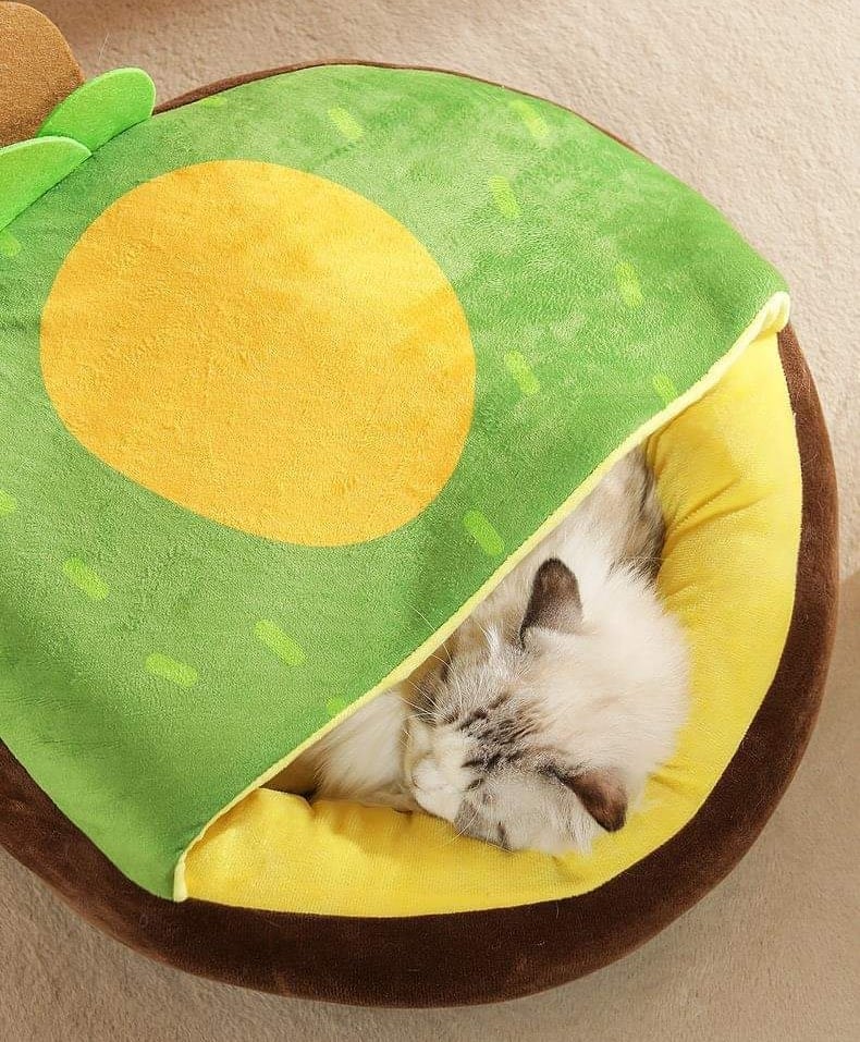 CatHoliday ที่นอนผลไม้ ที่นอนแมว ที่นอนสุนัข ที่นอนสัตว์เลี้ยง
