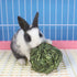 CatHoliday บอลหญ้ากระต่าย ของเล่นกระต่าย ของเล่นสัตว์ฟันแทะ บอลหญ้า