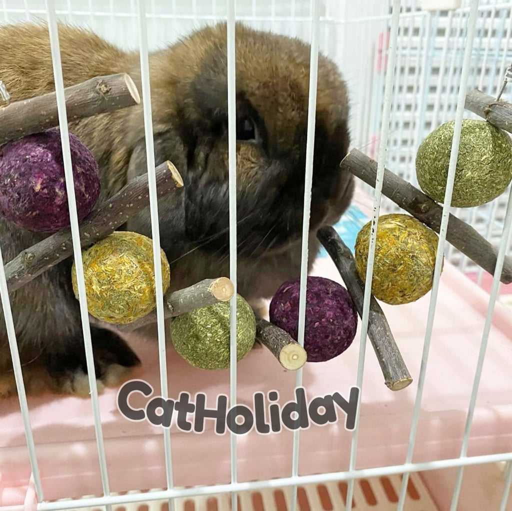 CatHoliday คุกกี้กระต่ายพวง ขนมกระต่าย ขนมสัตว์ฟันแทะ คุ๊กกี้กระต่าย