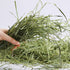CatHoliday หญ้าทิโมธี Jessie 500 g หญ้าอบแห้ง สำหรับ กระต่าย แกสบี้ ชินชิล่า Timothy
